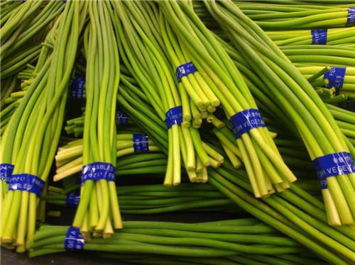 Frozen Garlic Sprouts Cuts