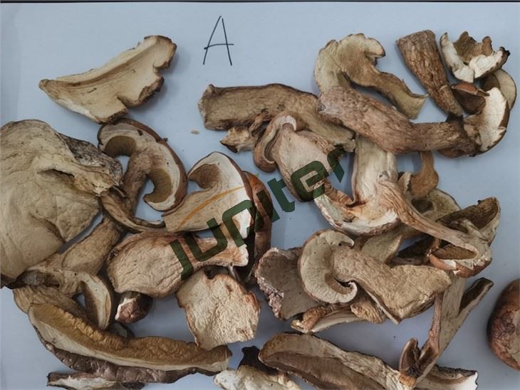 Dried Boletus Edulis Grade A